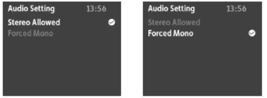 NORDIC JR-L0218D 18v Li-ion Cordless Jobsite 2-speaker Radio - Audio Settings