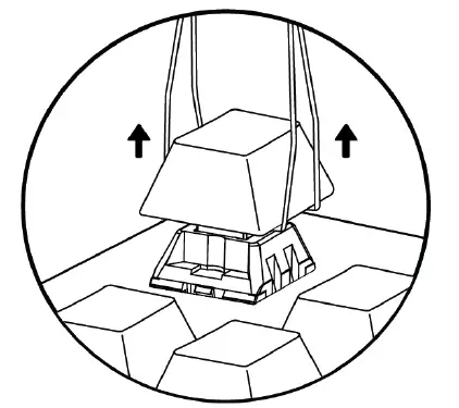 TECWARE-PHANTOM-RGB-Mechanical-Keyboard-fig- (16)