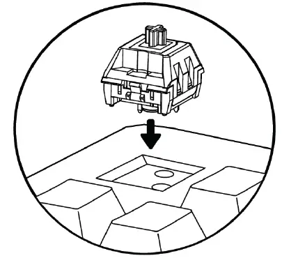 TECWARE-PHANTOM-RGB-Mechanical-Keyboard-fig- (19)