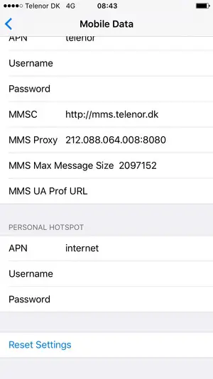 Apple-iPhone-5 -Setup-Internet-fig-5
