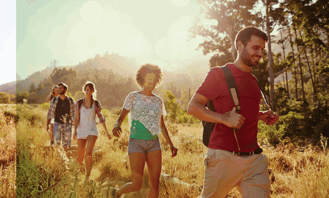 Ford 2021 Escape Hybrid Car - Fig 8