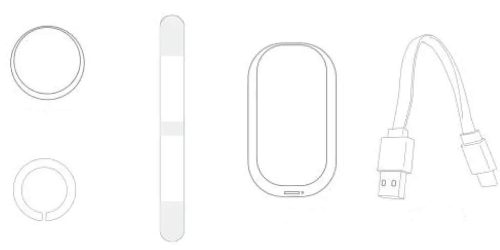 Accuralink Technologies iGMS-QT System Kit FIG1