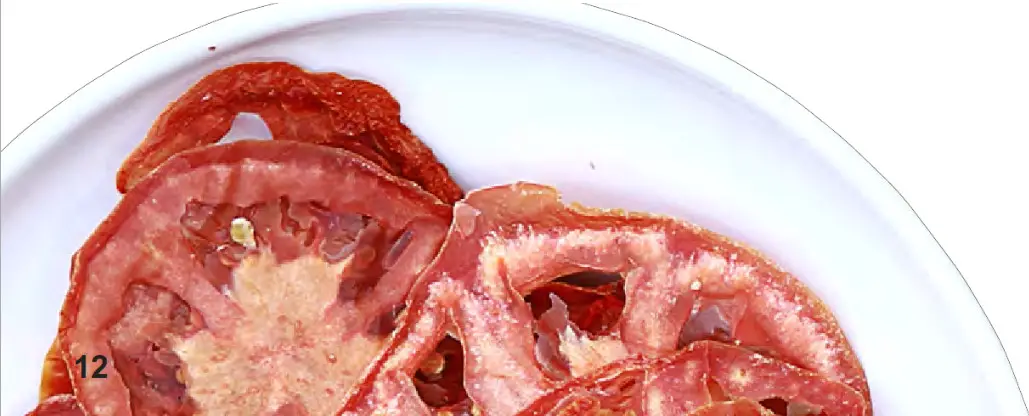 Excalibur 3900B Food Dehydrator 9 Tray Electric - Brittle