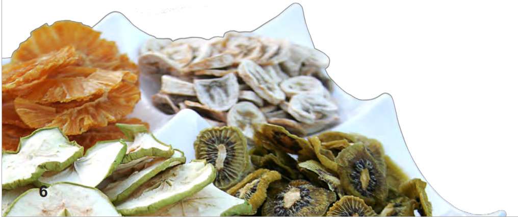 Excalibur 3900B Food Dehydrator 9 Tray Electric - RECONSTITUTION