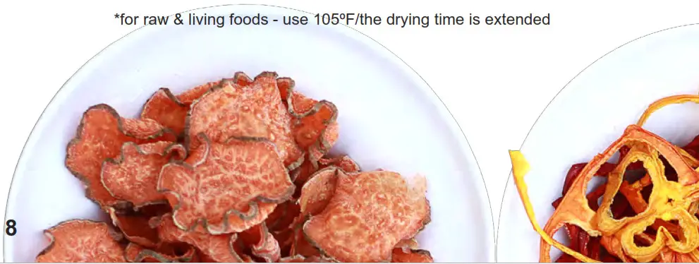 Excalibur 3900B Food Dehydrator 9 Tray Electric - extended