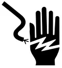Electric Shock Icon