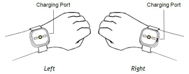 New Century Products NCP-IOT-01 Echo Life Interactive IoT Device 5