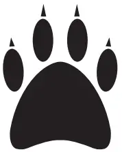 Explanation of symbols on the machine