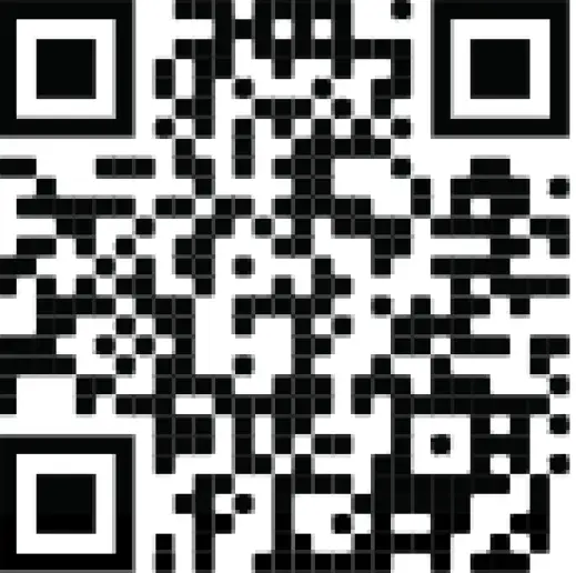 ComfortBilt HP22 PELLET STOVE BLACK 81