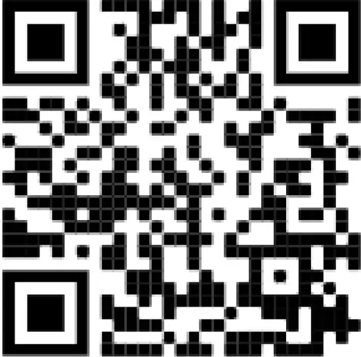 ComfortBilt HP22 PELLET STOVE BLACK 81