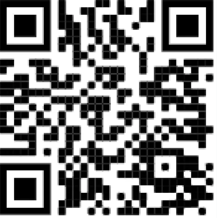 ComfortBilt HP22 PELLET STOVE BLACK 81