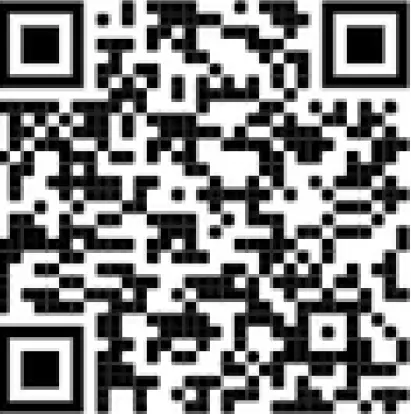 ComfortBilt HP22 PELLET STOVE BLACK 91