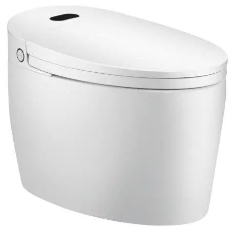 VOGUE 230168 & 230169 Smart Toilet 1