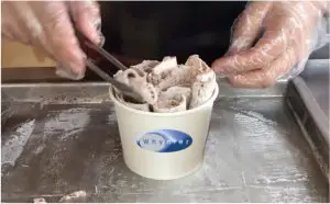 Ice Cream Making Instructions