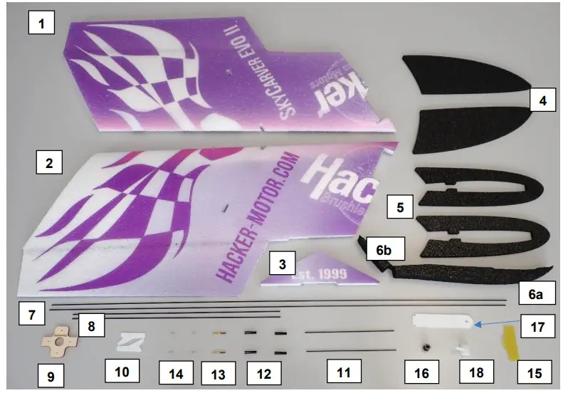 Hacker 10949503 Motor Der SkyCarver EVO II - Figure 1