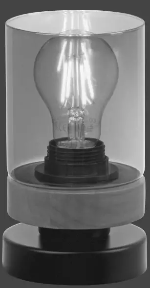 LeuchtenDirekt 11310-18 Table Lamp-fig1