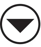 Icon Button