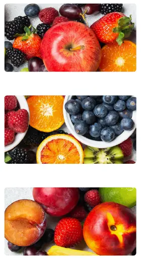 Trisa-ELECTRONICS-7011.75-Juice-Extractor-Instruction-Manual-fig-1