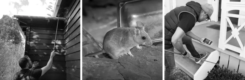 Ferret Community Pest camera