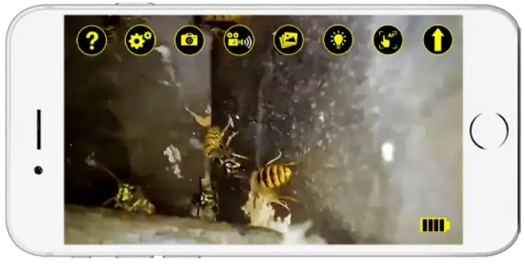 START USING YOUR FERRET PEST