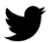 Twitter Icon