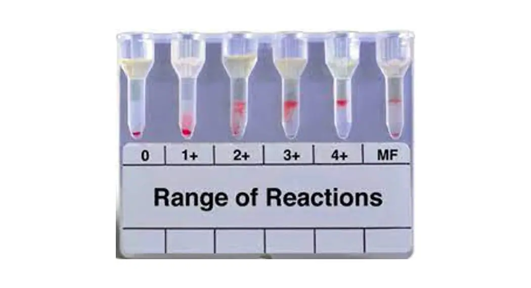 Micro Typing System Mts084024 Anti-human Globulin Anti-igg Mts Anti-igg Card Instruction Manual Micro Typing System Mts084024 Anti-human Globulin Anti-igg Mts Anti-igg Card Instruction Manual