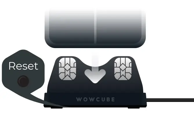 Resetting Instructions