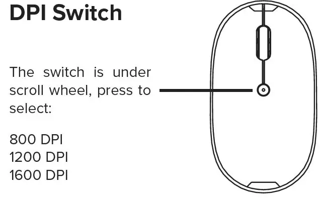 DPI Switch