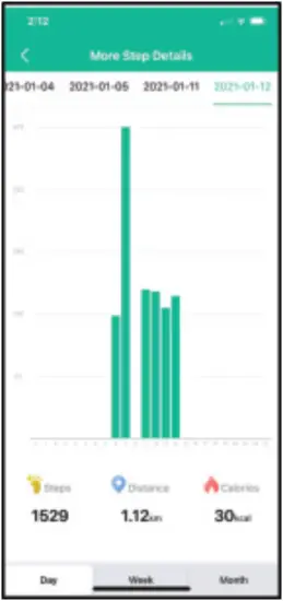 IG-WP Wizard Pro - Home Page 2