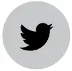 Twitter-Icon-png