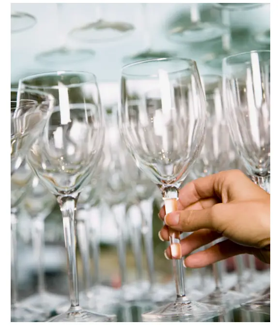 Ilve Commercial Multi-Residentia - FEATURES