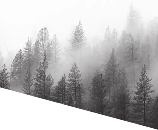 KAHLES K4i FLASHING TARGET ACQUISITION WITH FIXED MAGNIFICATION - Fig 5