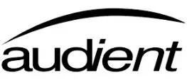AUDIENT-logo