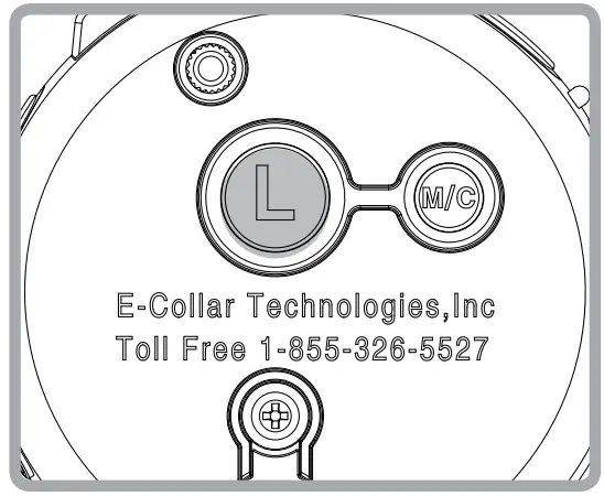 Educator E-Collar Humane Dog Training Collar-5