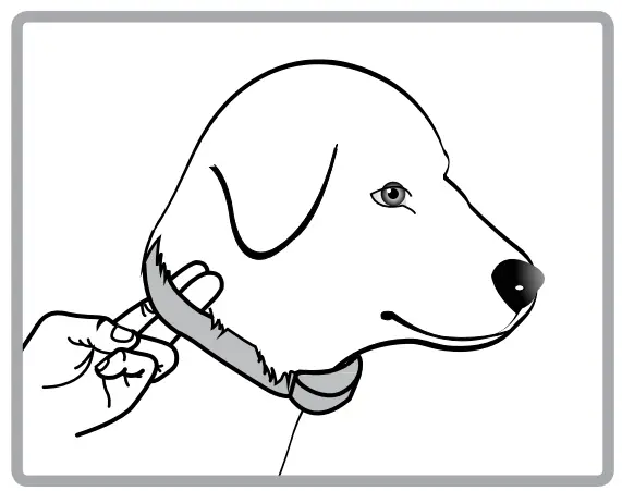 Educator E-Collar Humane Dog Training Collar-7