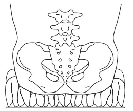 permobil ROHO Dry Floatation Wheelchair Cushions-fig4