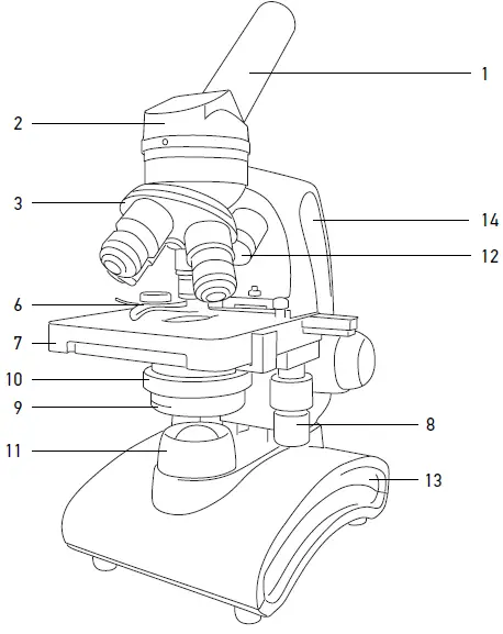 levenhuk-Discovery-Atto-Polar-Digital-Microscope-fig-1