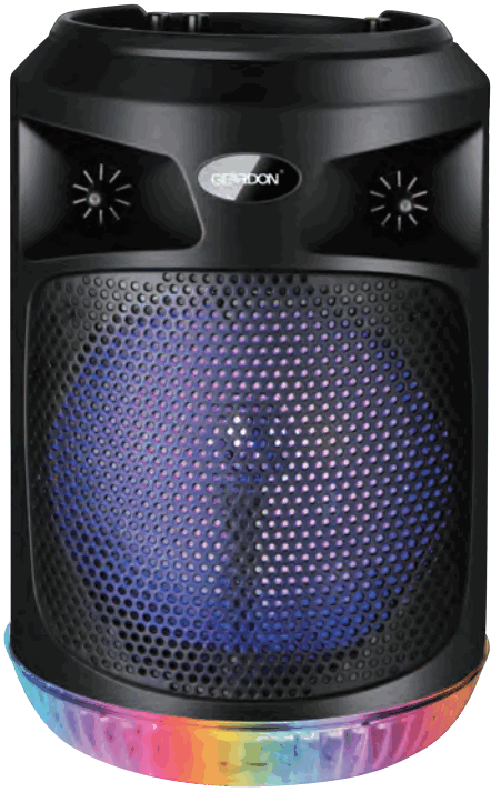 GEARDON GD DM824 Bluetooth Speaker with Wireless Microphone