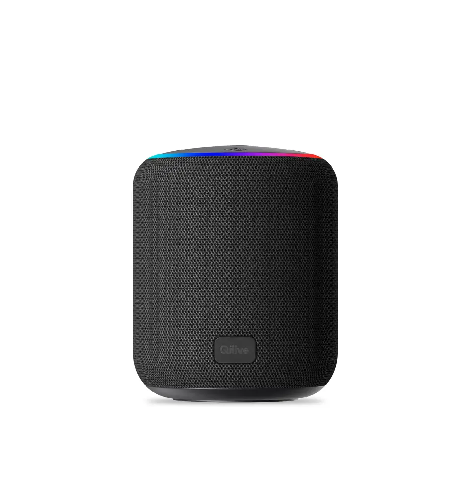 Qilive Q.1708 Bluetooth Speaker User Manual