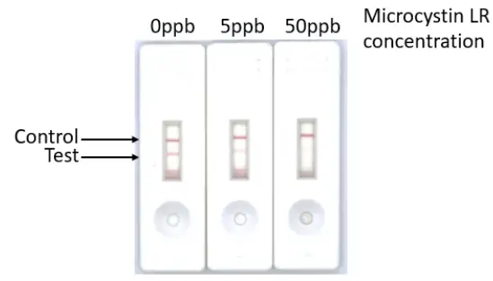 Attogene-AU2024-01-Microcystin-Lateral-Flow-Kit-FIG-1