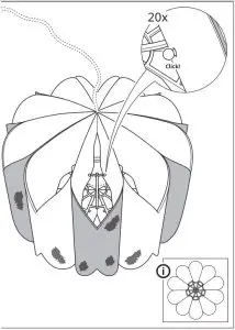 Installation Instructions