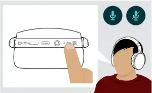 Muting the microphone