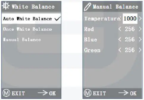 euromex-BlueLine-LCD-Microscope-3