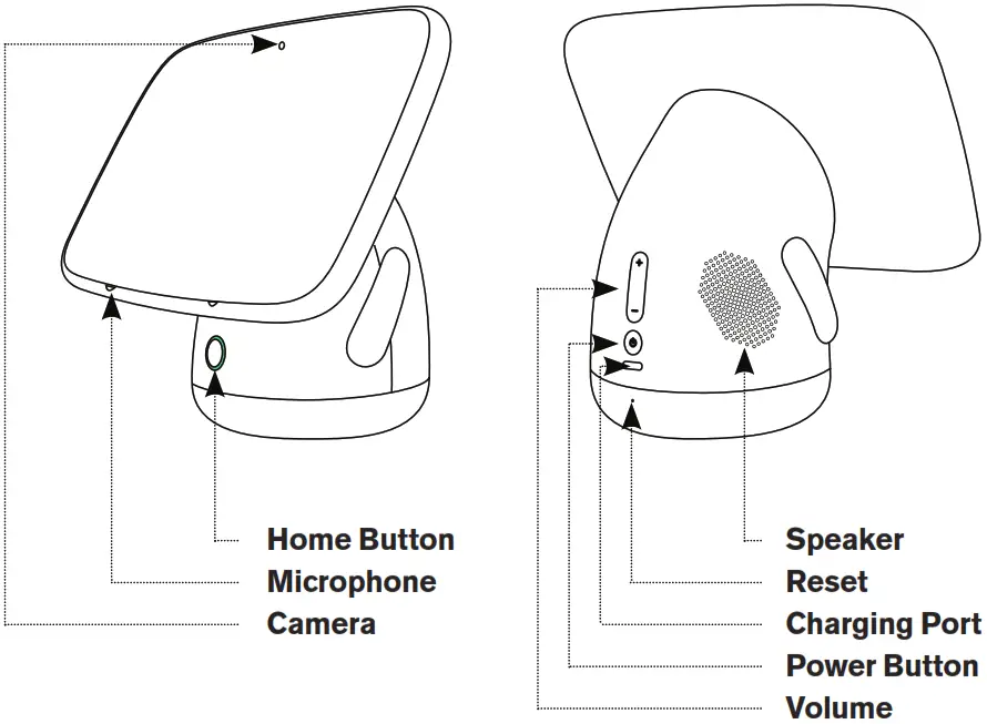 AILA 2AU9S X4C Sit and play Animal island - Overview