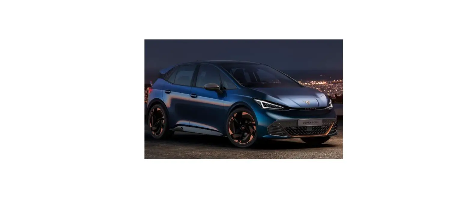 Cupra 2021 Born User Guide