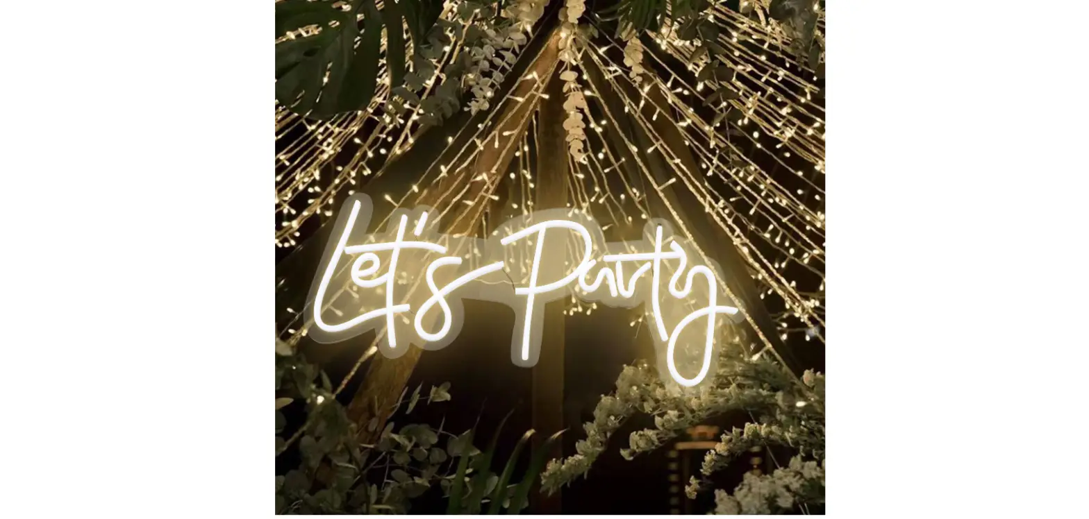 Anko Low Voltage Let's Party Neon Lights Instruction Manual