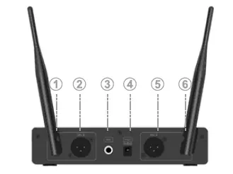 VeGue Wireless Microphone System (2)