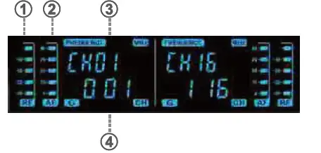 VeGue Wireless Microphone System (4)
