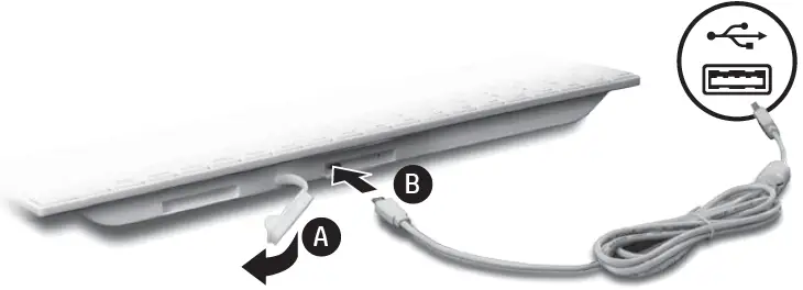 HP-‎1VD81AA-USB-Mouse-and-Keyboard-Healthcare-Edition-fig-3