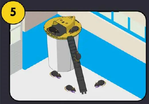 RINNETRAPS FNS21917 Flip N Slide Multi Catch Mouse Traps - Setup 5